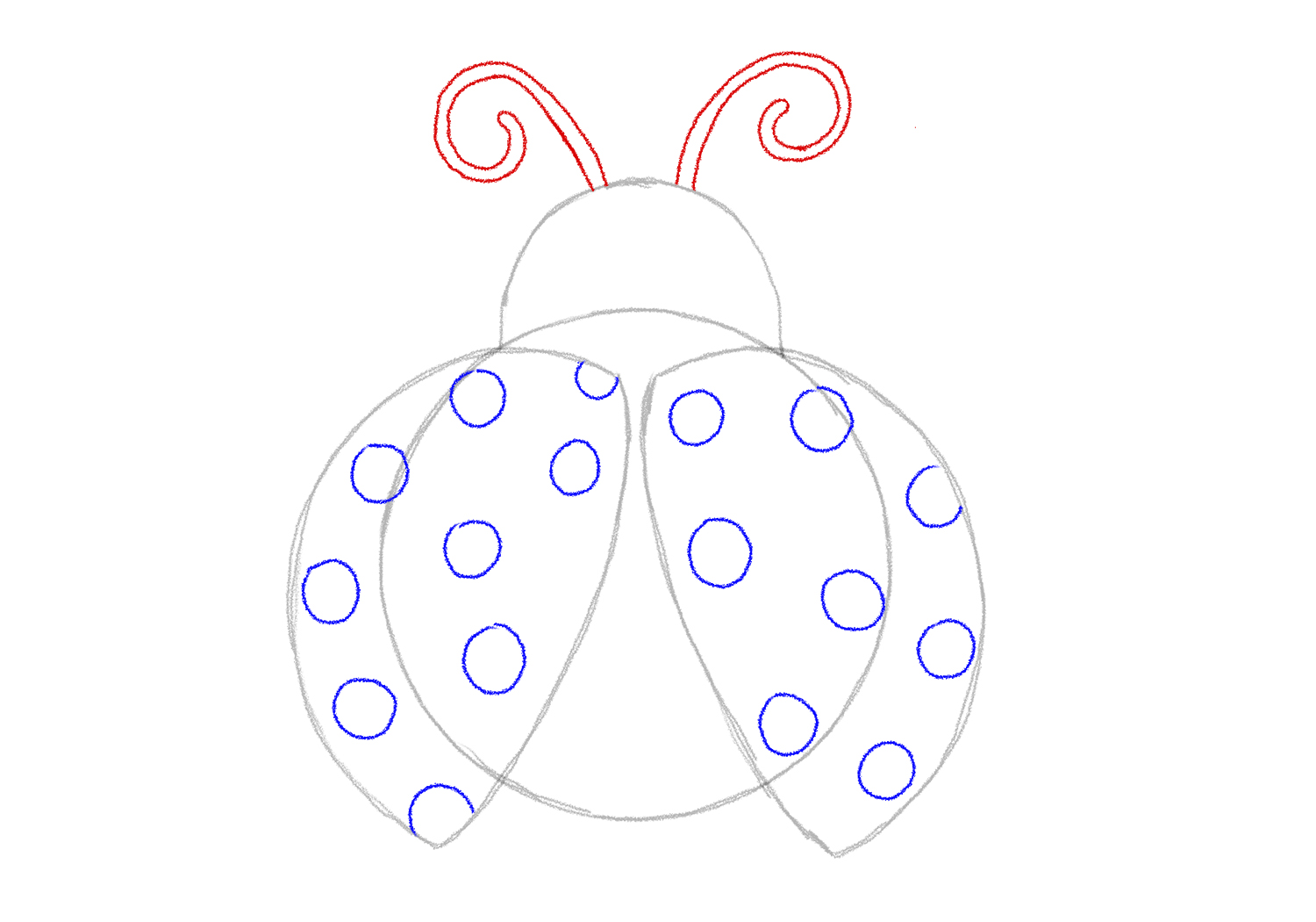 How To Draw A Ladybug Step By Step