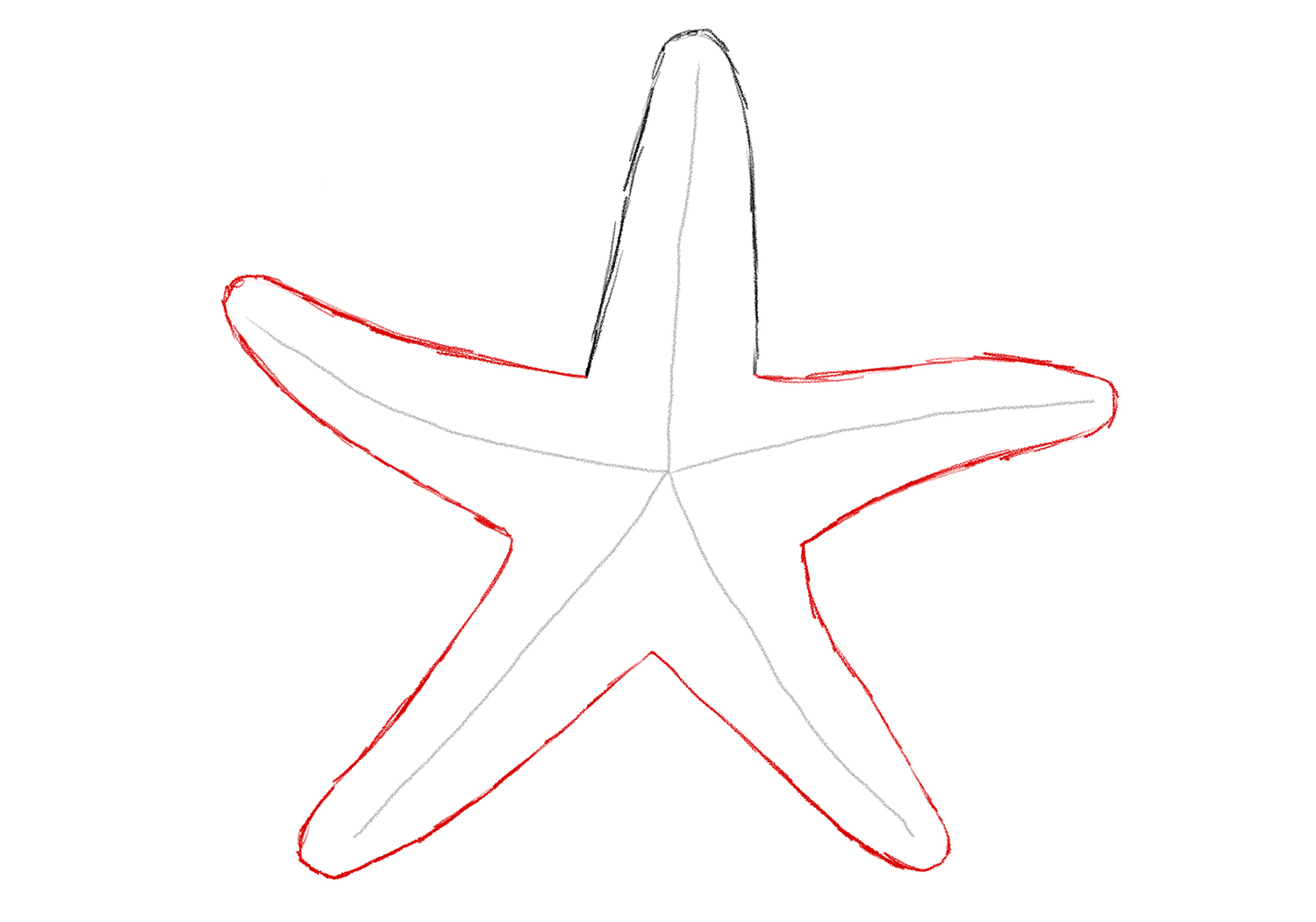 Starfish Drawing With Labels At Kimberly Knox Blog Starfish Drawing With Labels At Kimberly Knox Blog