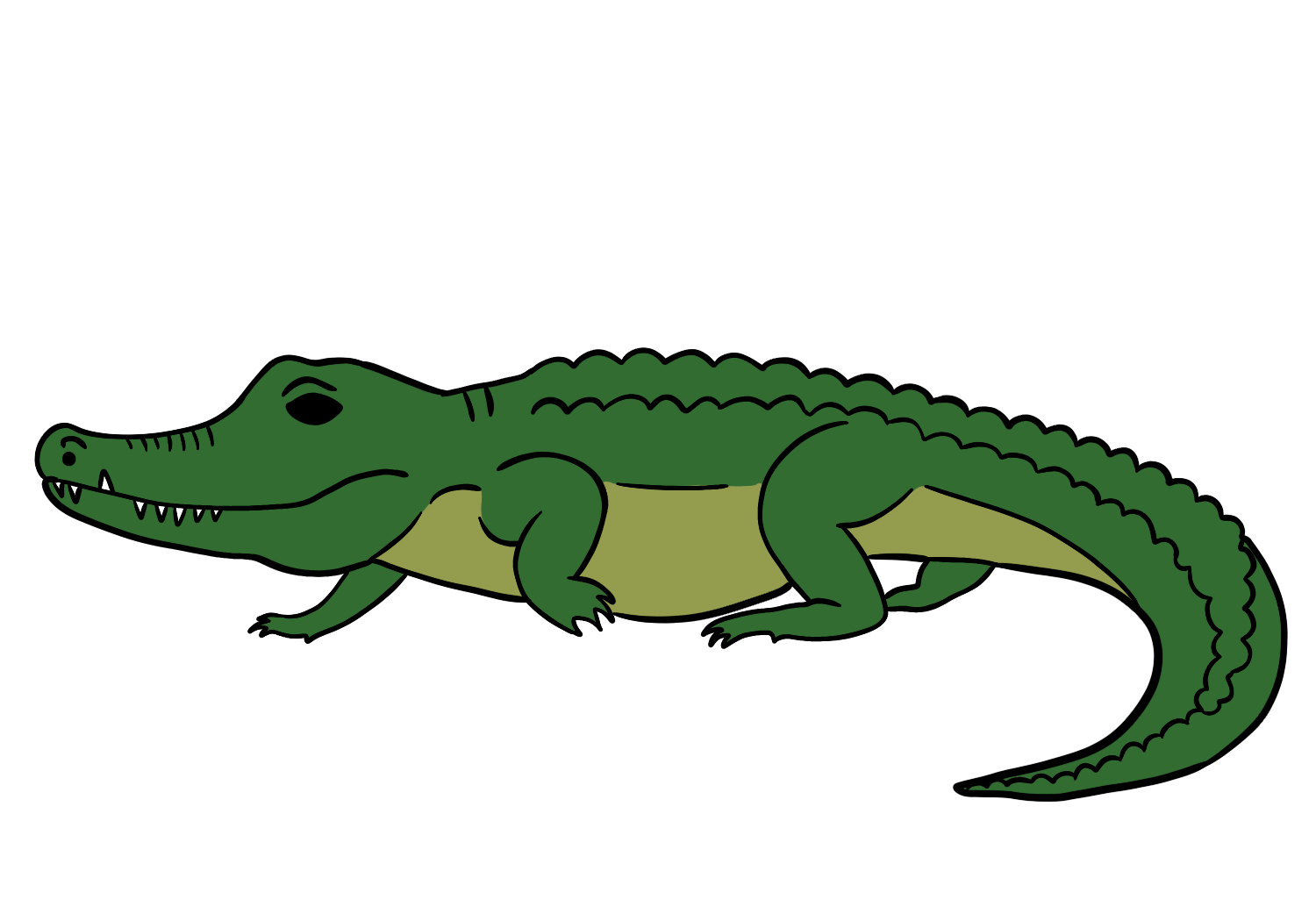 How Draw Crocodile