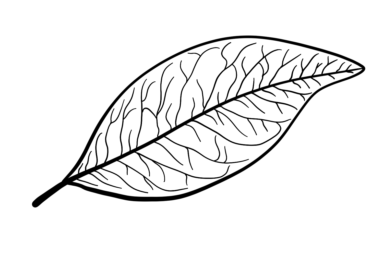 Step By Step How To Draw A Leaf 58 OFF Www pinnaxis Step By Step How To Draw A Leaf 58 OFF Www pinnaxis