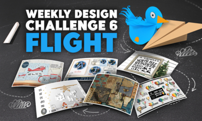 Weekly Design Challenge 6 - Flight