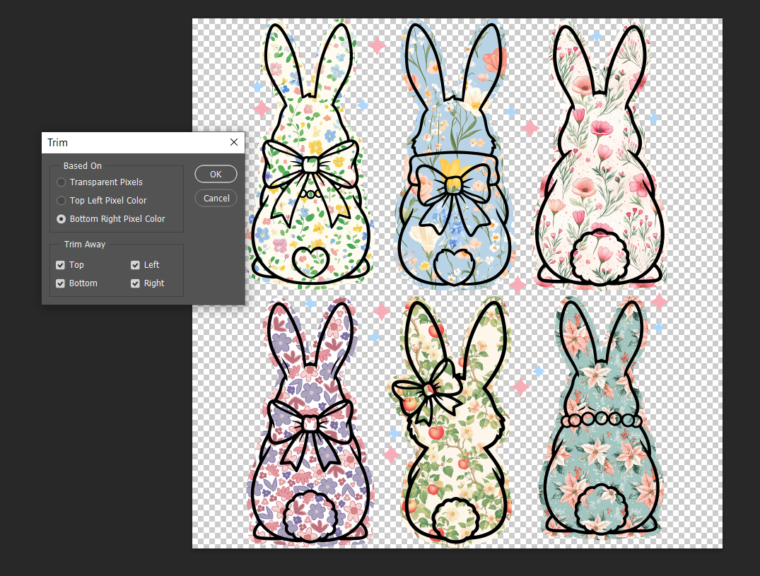 How to Convert Your Favorite Design Into a Tote Bag 4