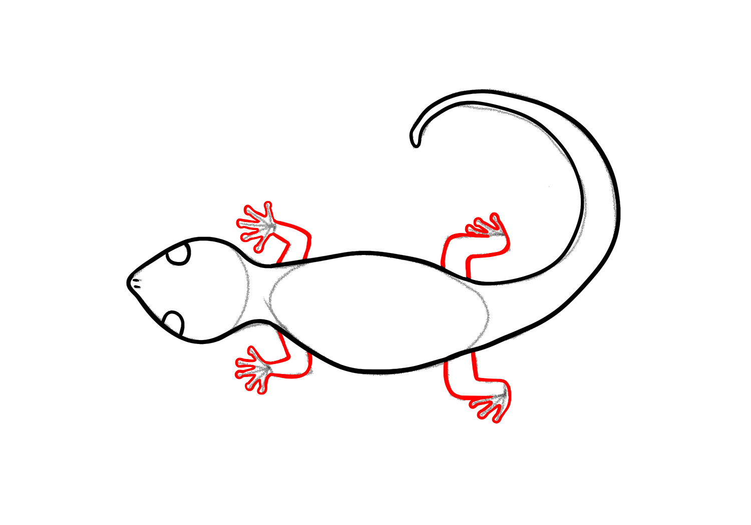 How To Draw A Lizard Design School