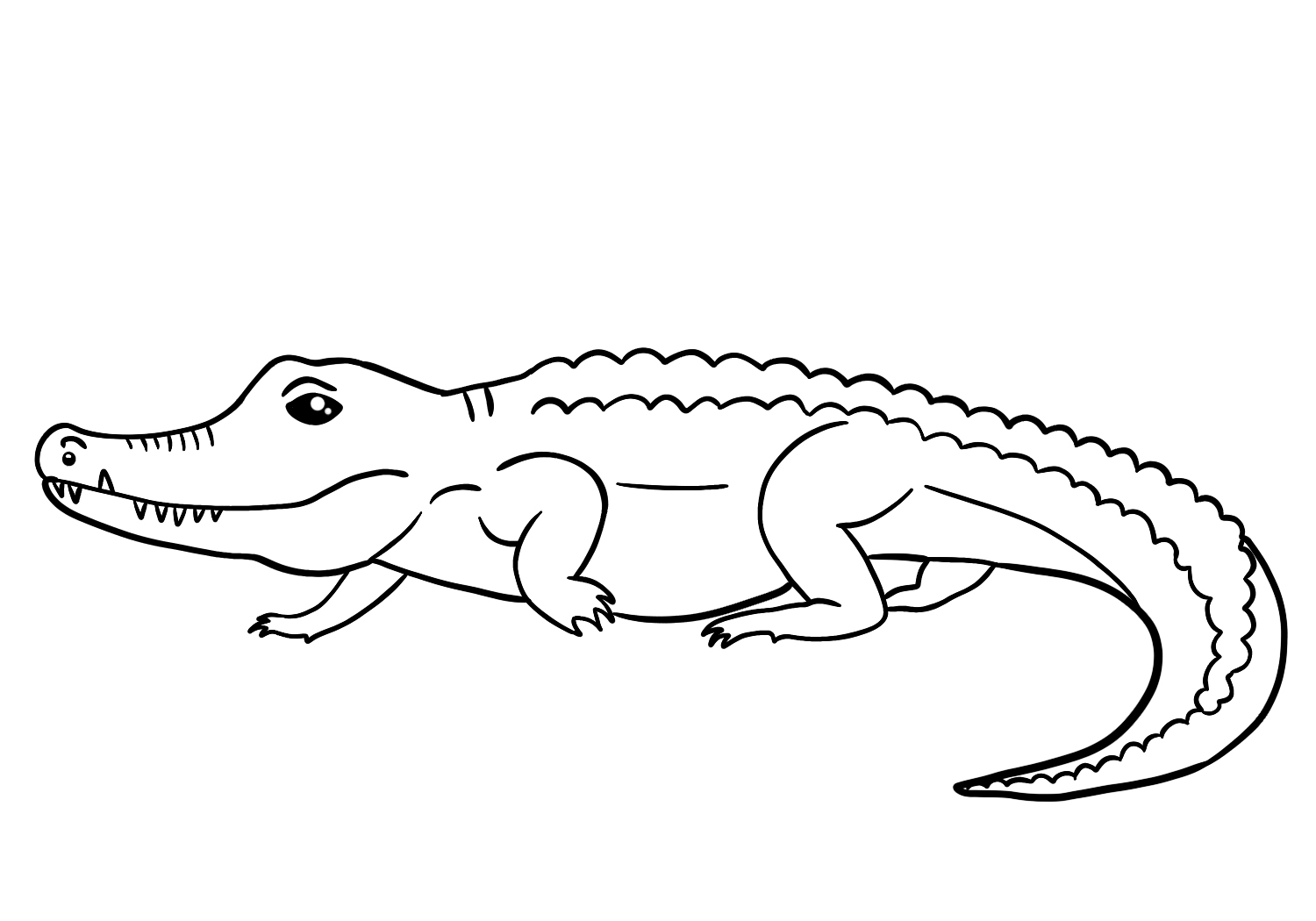 Alligator Drawing Outline Alligator Drawing Outline