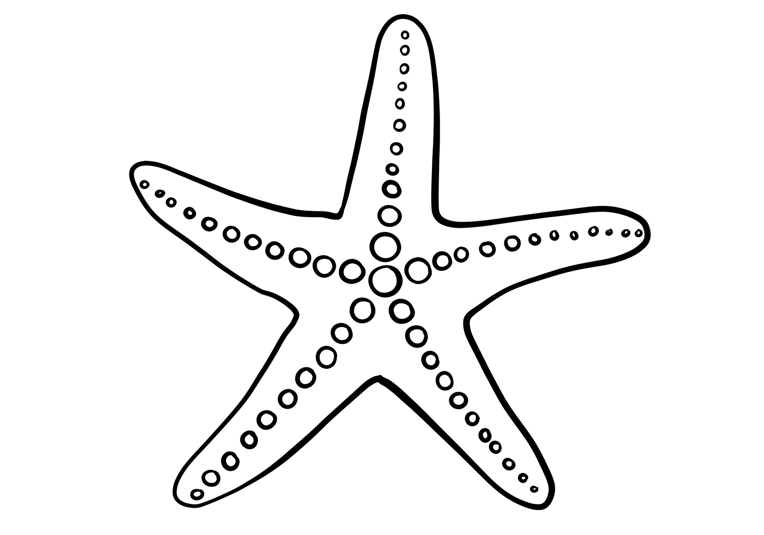 Simple Starfish Drawing Amazon Sense Canvas Starfish Bright Ocean Simple Starfish Drawing Amazon Sense Canvas Starfish Bright Ocean