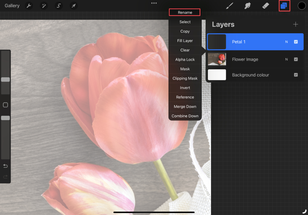 Procreate Knockoff At Ruth Leal Blog